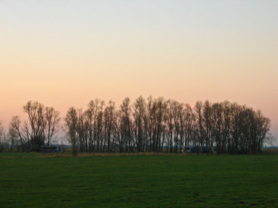 Belgium - Xmas 2008