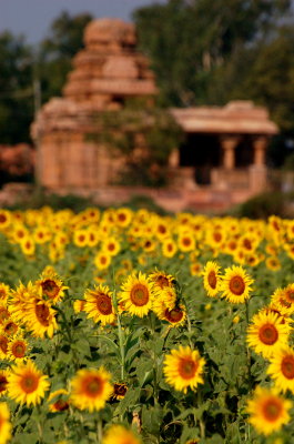 Tamil Nadu