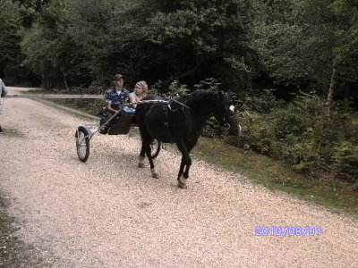 scout_camp_2010