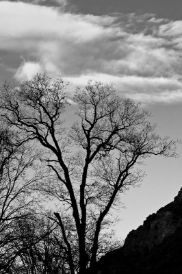 Cloudy Cold Yosemite