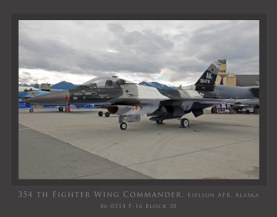 Tamiya 1/48 F-16C Arctic Aggressor