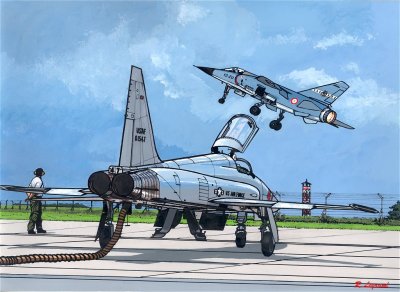  	Northrop F5E et Mirage F1 C