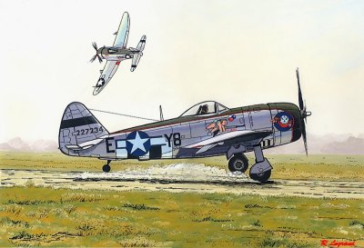 Republic  P47D       Thunderbolt