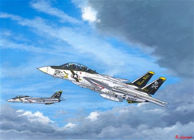 Grumman F14A       Tomcat