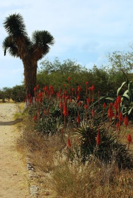Chemin