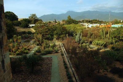 Jardin botanique