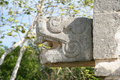 Serpent