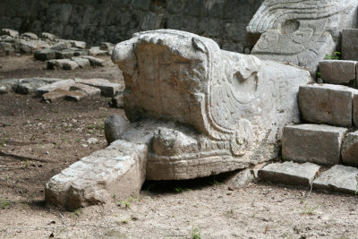 Serpent à plumes rouge