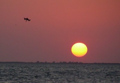 Florida Sunset over Tampa Bay
