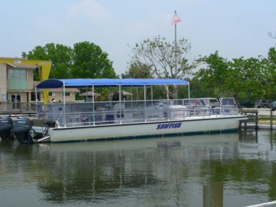 Everglades Boat Tour