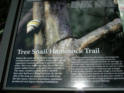 Tree Snail Trail