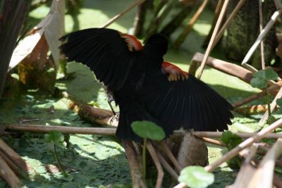 Resize of Re-exposure of IMG_8940.JPG