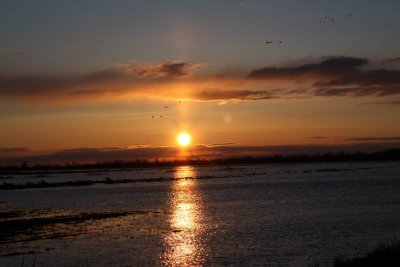 Resize of IMG_1043.JPG