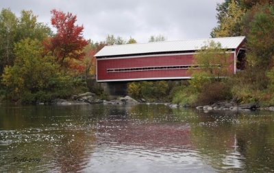 Bringham (1)