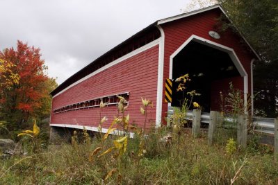 Bringham (2)