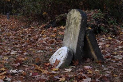 Hunter's Mills-2