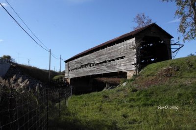 Warwick-1