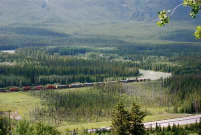 DSC_0019.JPG