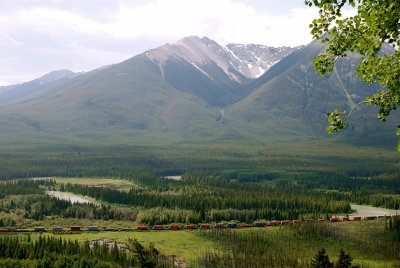 DSC_0021.JPG