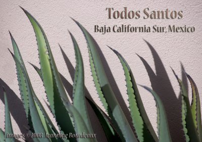 Todos Santos, Baja California Sur, Mexico