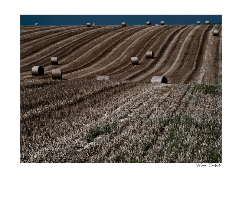 the rolling bales