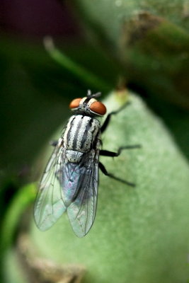 g1/47/928547/3/127191135.W10JNzX5.jpg