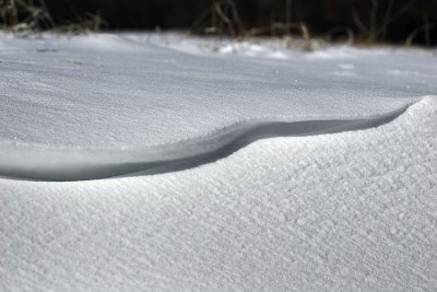 WindBlown Snow16442