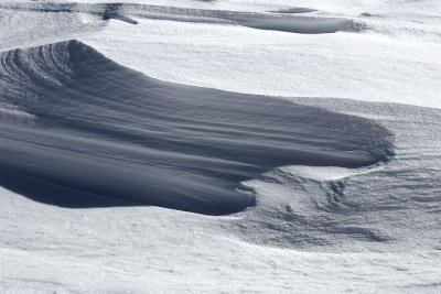 WindBlown Snow16527