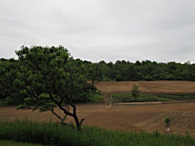 Freshly plowed fields
