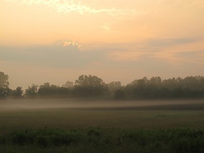 Sunrise over a foggy field