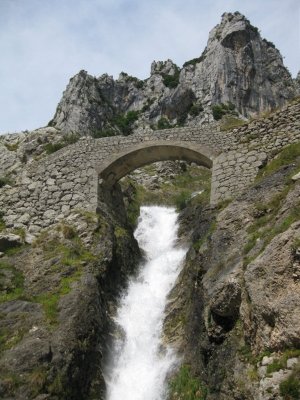 P.N. Picos de Europa. Asturias