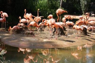 Zoo de Barcelona