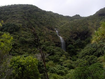 Waitakere Ranges