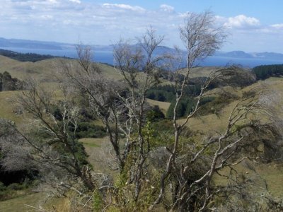 Lake Taupo