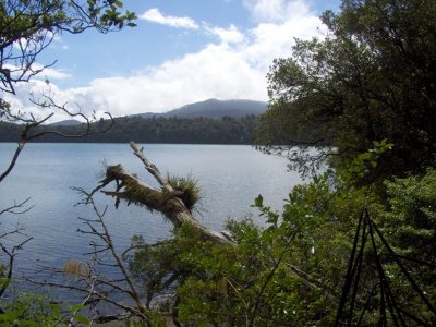 Lake Rotopounamu