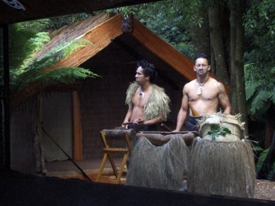 Tamaki Maori Village