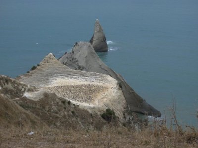 Cape Kidnappers