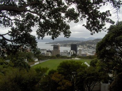 Wellington. View from the Botanic Gardens