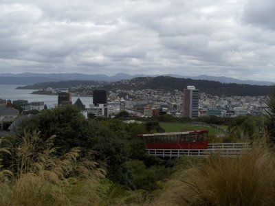 Wellington. View from the Botanic Gardens