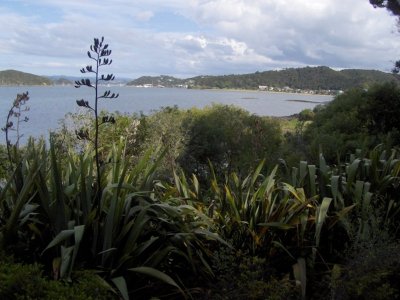 Paihia viewed from Waitangi