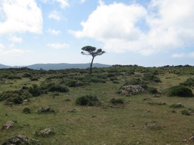 Alrededores de San Andrs de Teixid