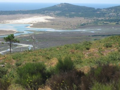 Laguna y Marismas de Carregal desde Miradoiro a Pedra de Ra