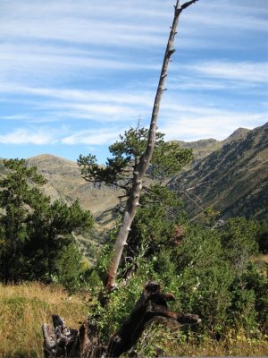 Vall de Sorteny