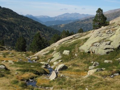 Camí a l´Estany de Juclar