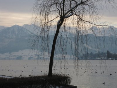Vierwaldsttter See (Lago de los Cuatro Cantones)