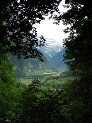 Camino de Wengen