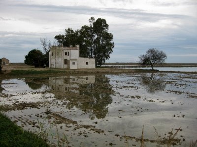 Delta de lEbre