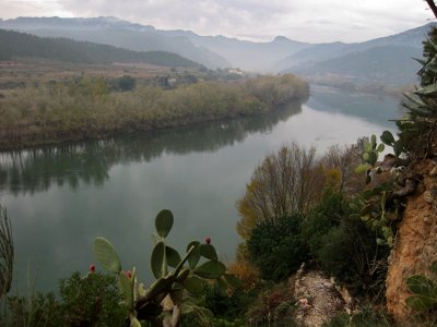 Riu Ebre