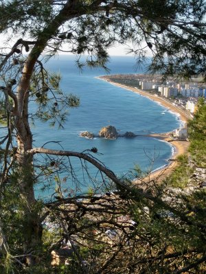 Vista des del Castell de Sant Joan