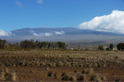 Mauna Kea as seen from Waimea
